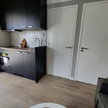 Dağ evi Park De Driesprong Nieuwveen