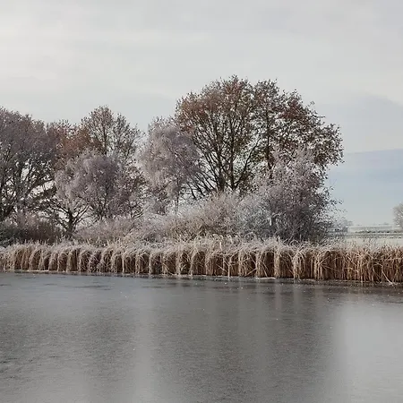 Park De Driesprong