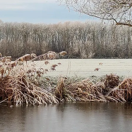 Park De Driesprong Domek alpejski