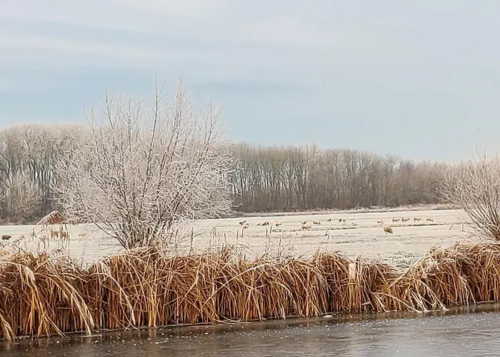 Dağ evi Park De Driesprong *