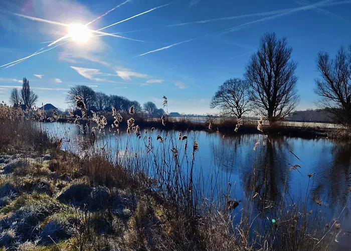 Park De Driesprong Dağ evi