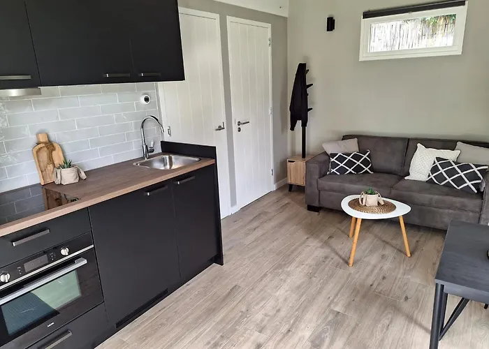 Park De Driesprong Chalet Nieuwveen