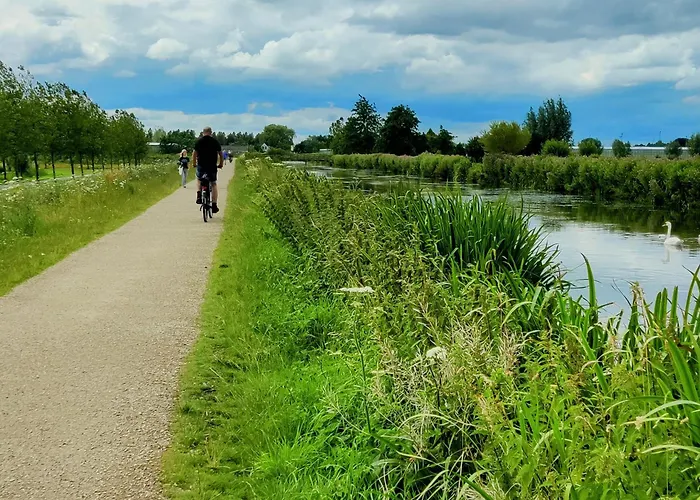 Chalet Park De Driesprong